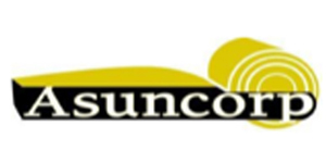 Logos_0057_Capa 12
