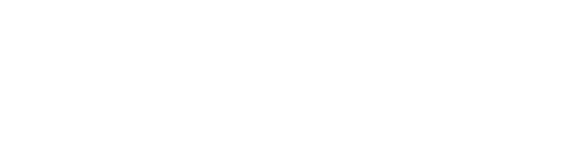 Fielweb